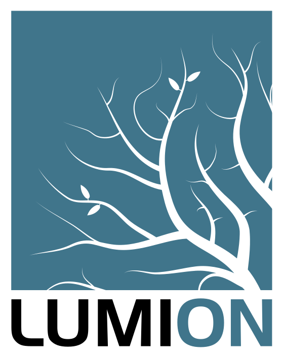 Lumion.png